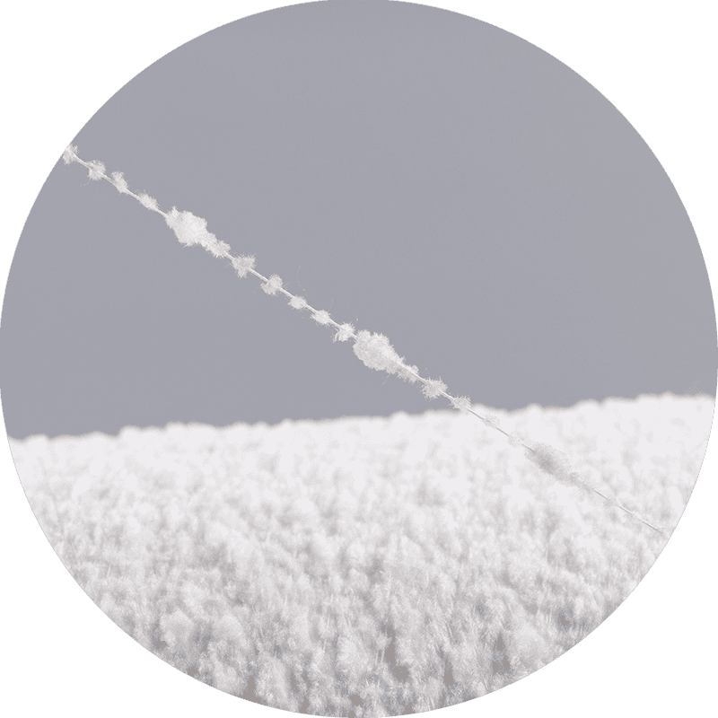 نخ گل داودی